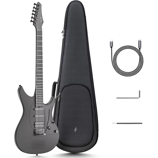 Amazon.co.jp: IBANEZ RGDMS8-CSM Axe Design Lab Classic Silver Mat